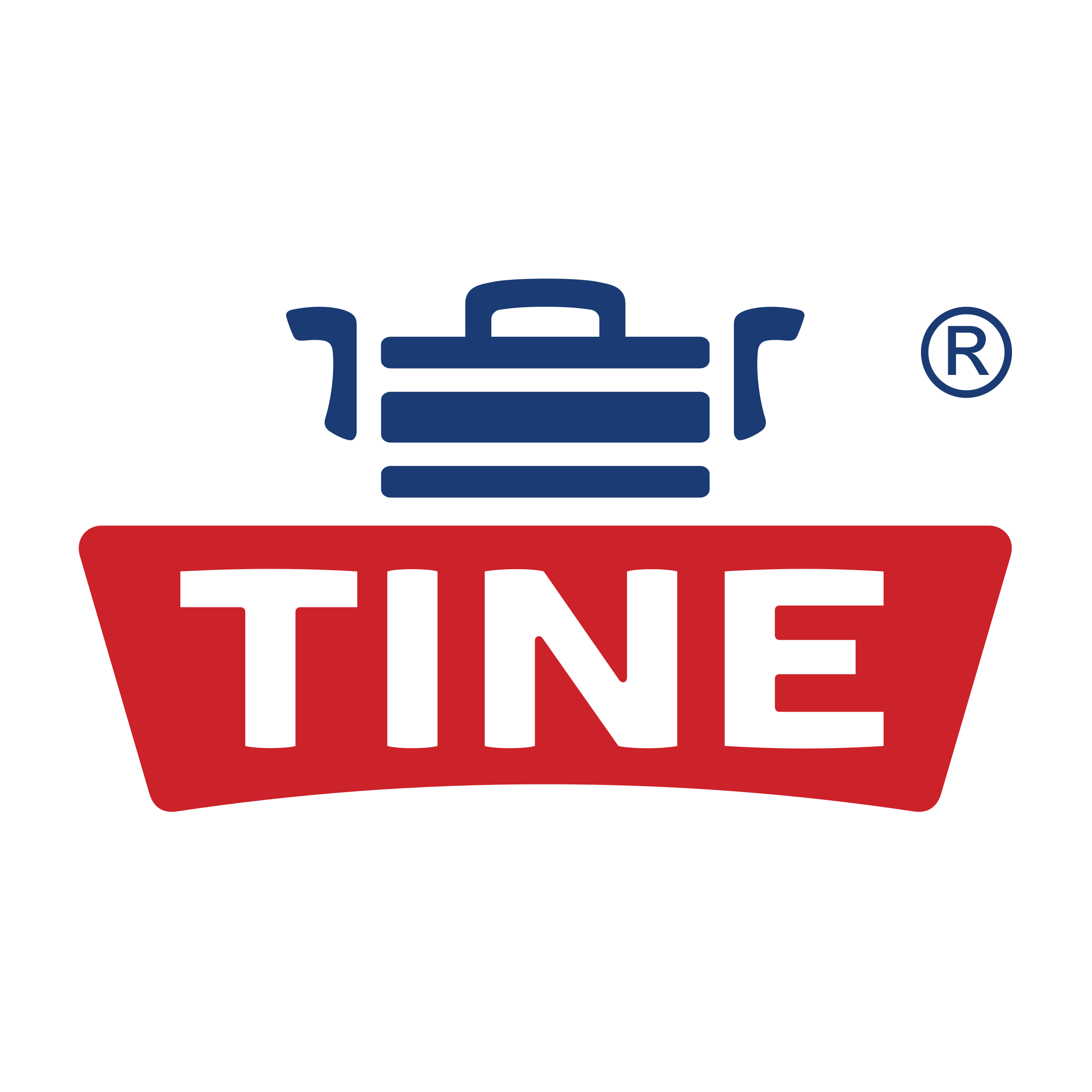 TINE-logo